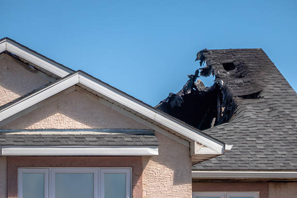 Top rated local Odor Removal specialists in Glenwood, MD
